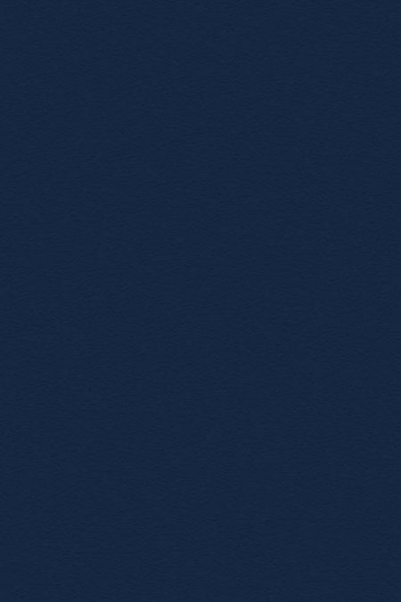 French Navy