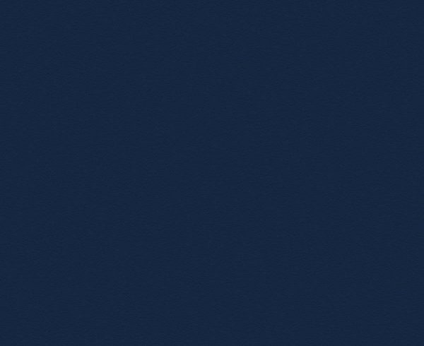 French Navy