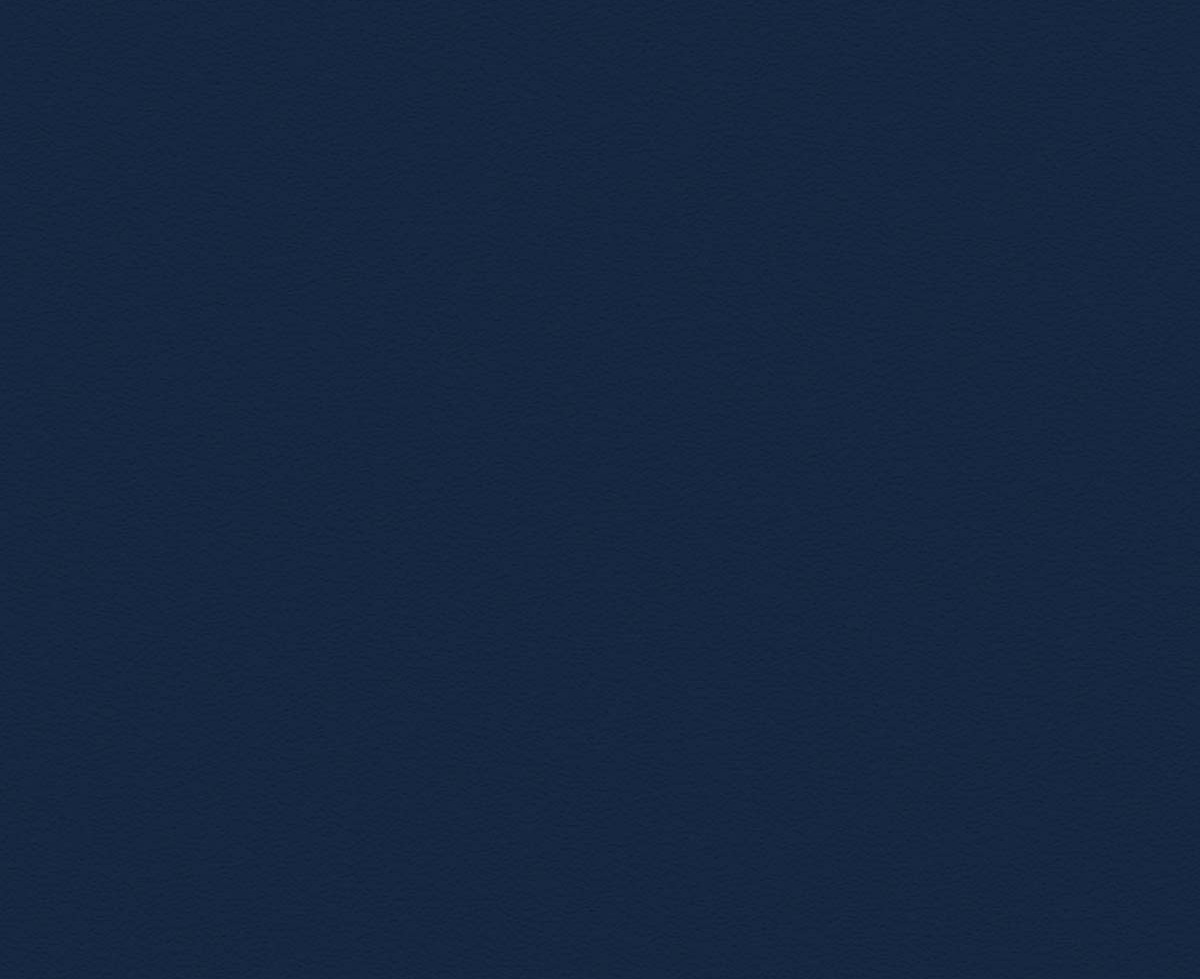 French Navy